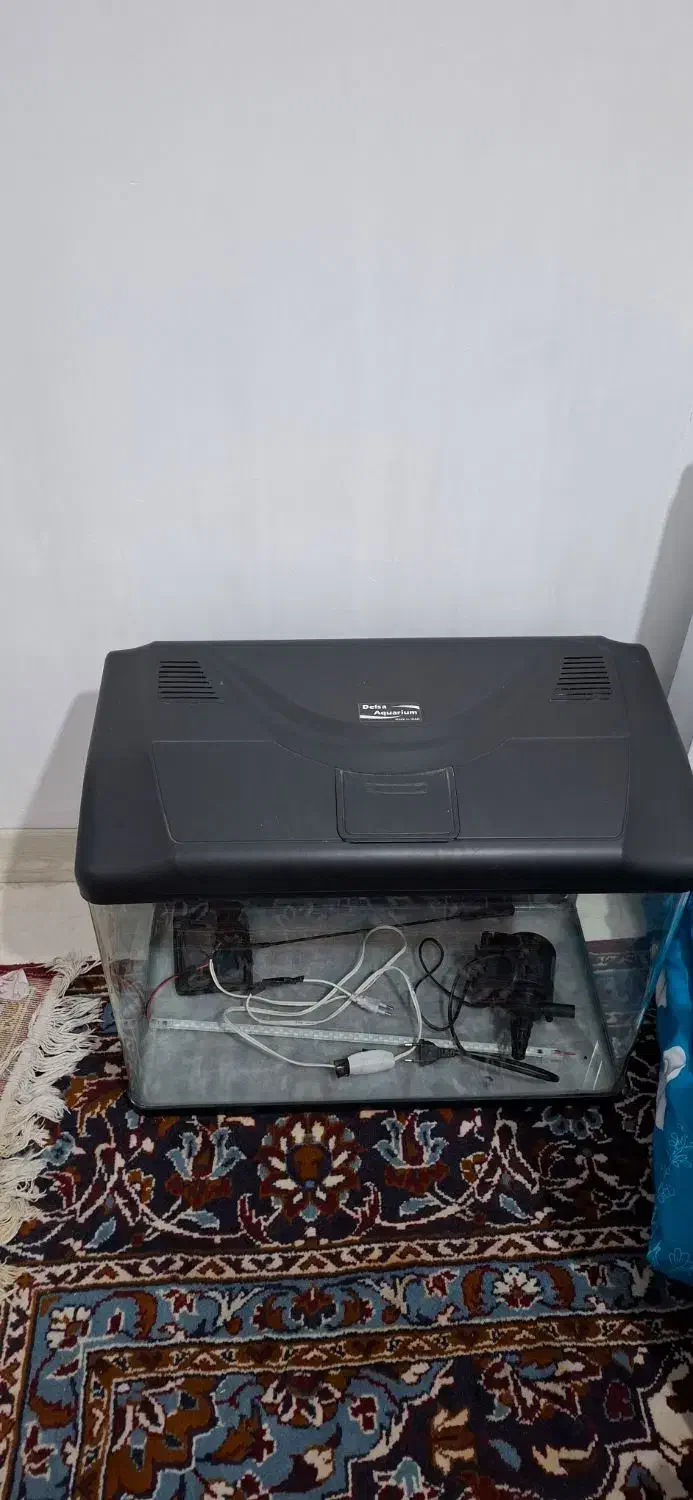 آکواریوم شرکتی دلسا|ماهی|فردیس, شهرک ارم|دیوار