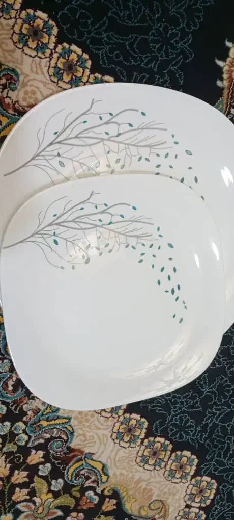 فروش وسایل لازم خانگی|ظروف سرو و پذیرایی|دهدشت, |دیوار