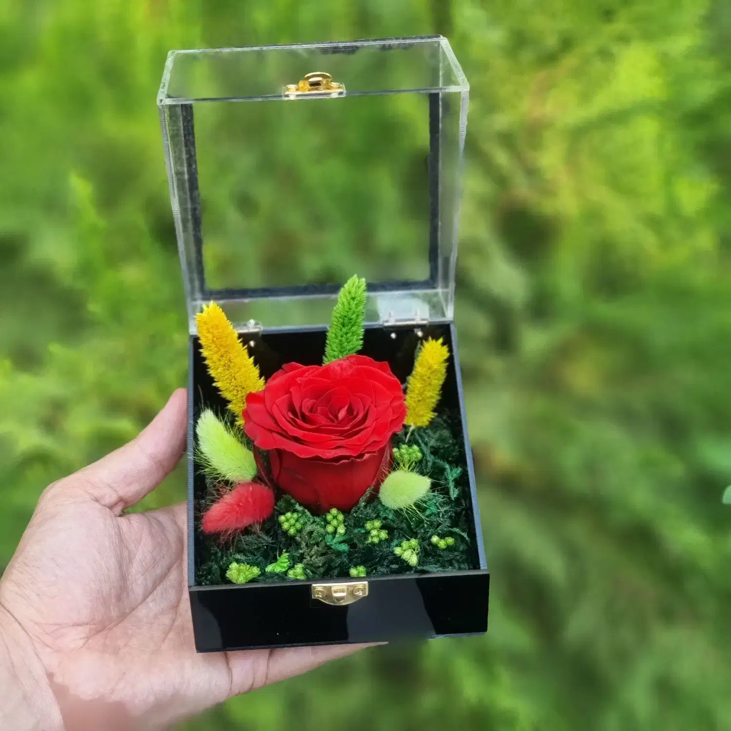 گل رز جاویدان تمام پلکسی در انواع رنگ ها کد ۶۱|گل و گیاه طبیعی|تهران, میدان ولیعصر|دیوار