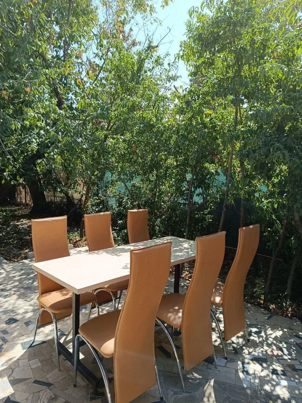 میز و صندلی در حد نو|میز و صندلی غذاخوری|طرقبه, |دیوار