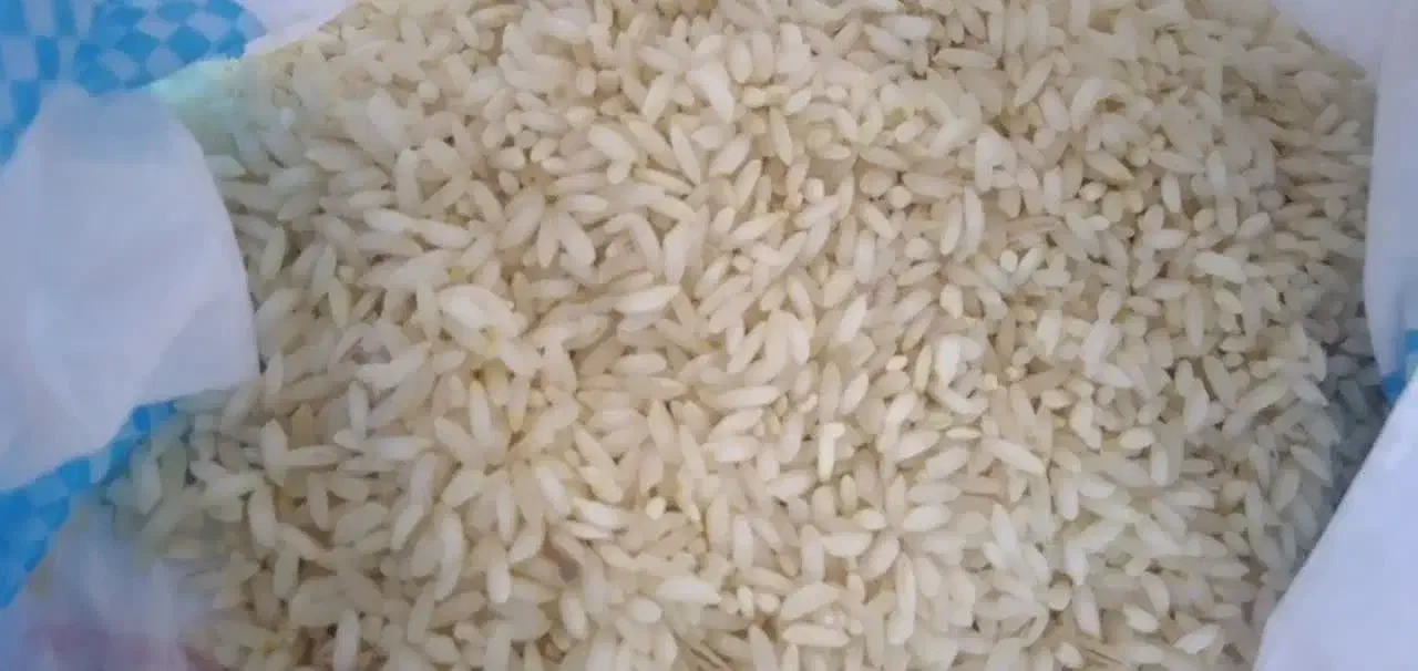 برنج عنبربو|خوردنی و آشامیدنی|خمینیشهر, |دیوار