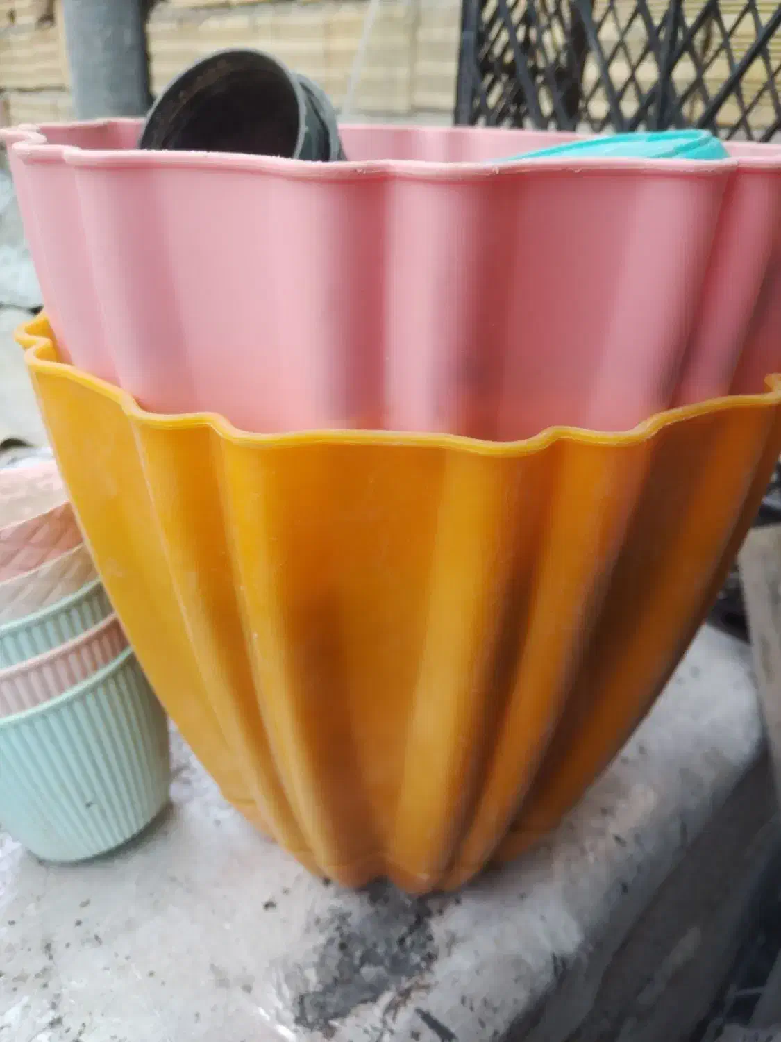 گلدان سالم.|گل و گیاه طبیعی|باسمنج, |دیوار