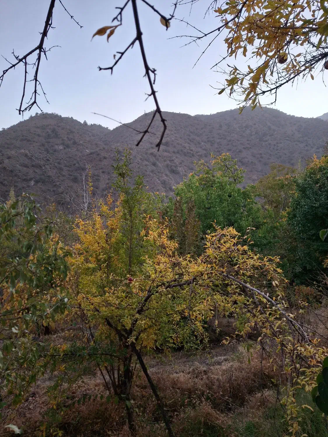 خانه باغ|فروش خانه و ویلا|درب بهشت, |دیوار