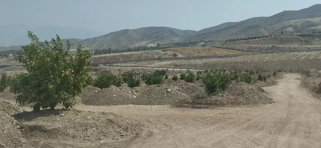 باغچه باغ مقصودآباد جهرم|فروش دفتر صنعتی، کشاورزی، تجاری|جهرم, |دیوار