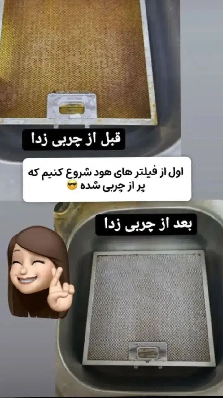 چربی زدایی نانو سان آلمان|مواد شوینده و دستمال کاغذی|داراب, |دیوار