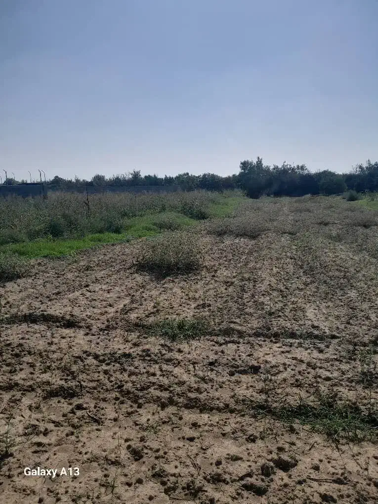 زمین گشاورزی|فروش دفتر صنعتی، کشاورزی، تجاری|کیاکلا, |دیوار