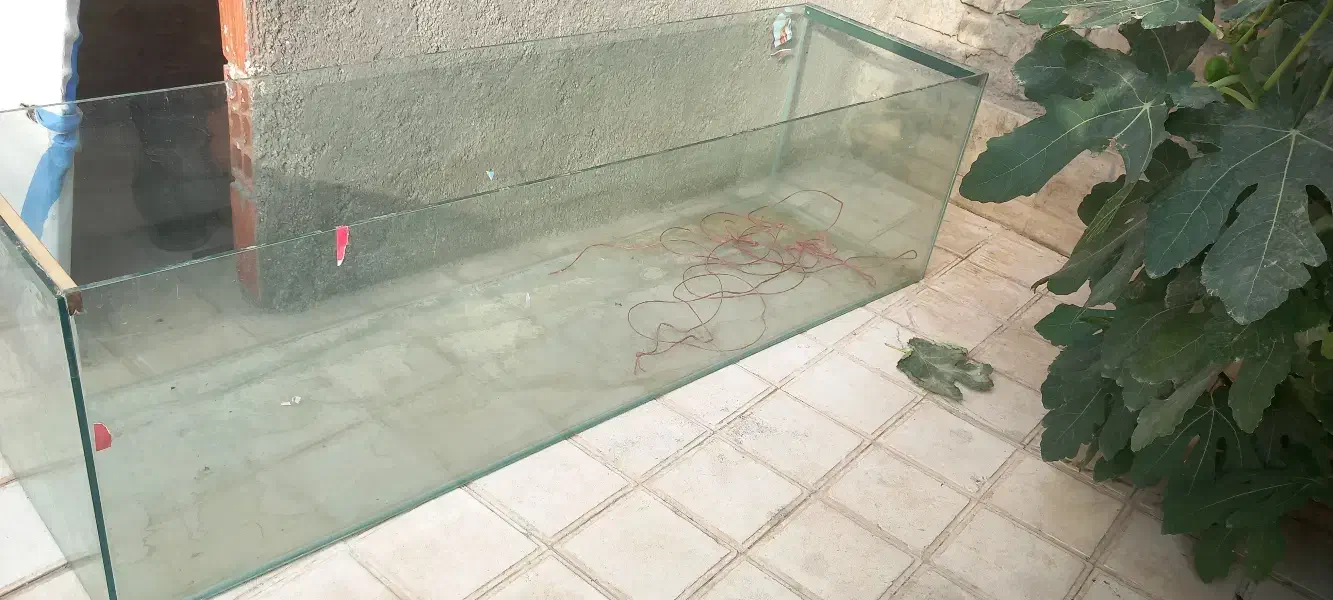 آکواریوم سالم|ماهی|بجنورد, |دیوار