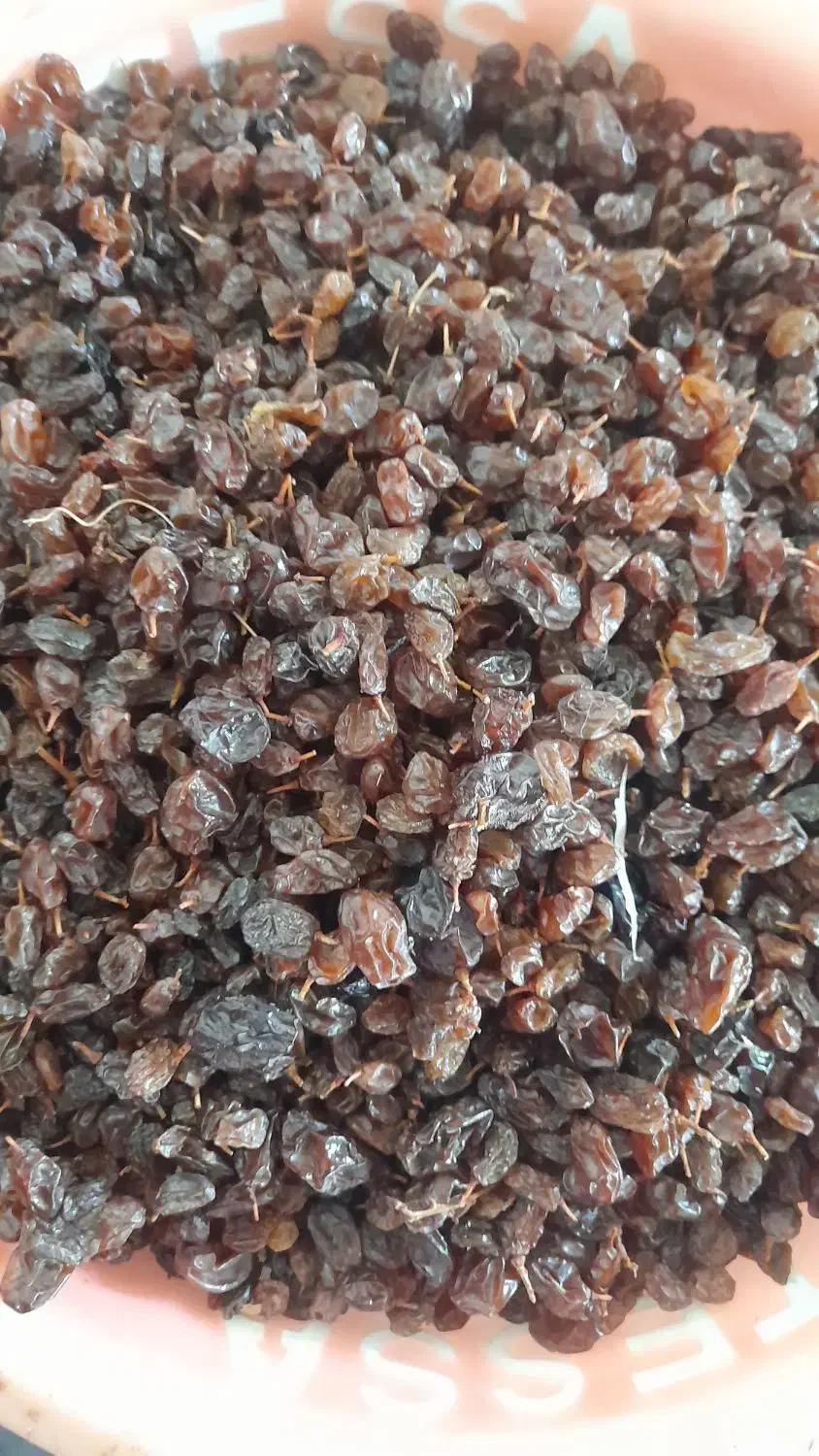 کشمش|خوردنی و آشامیدنی|میاندوآب, |دیوار