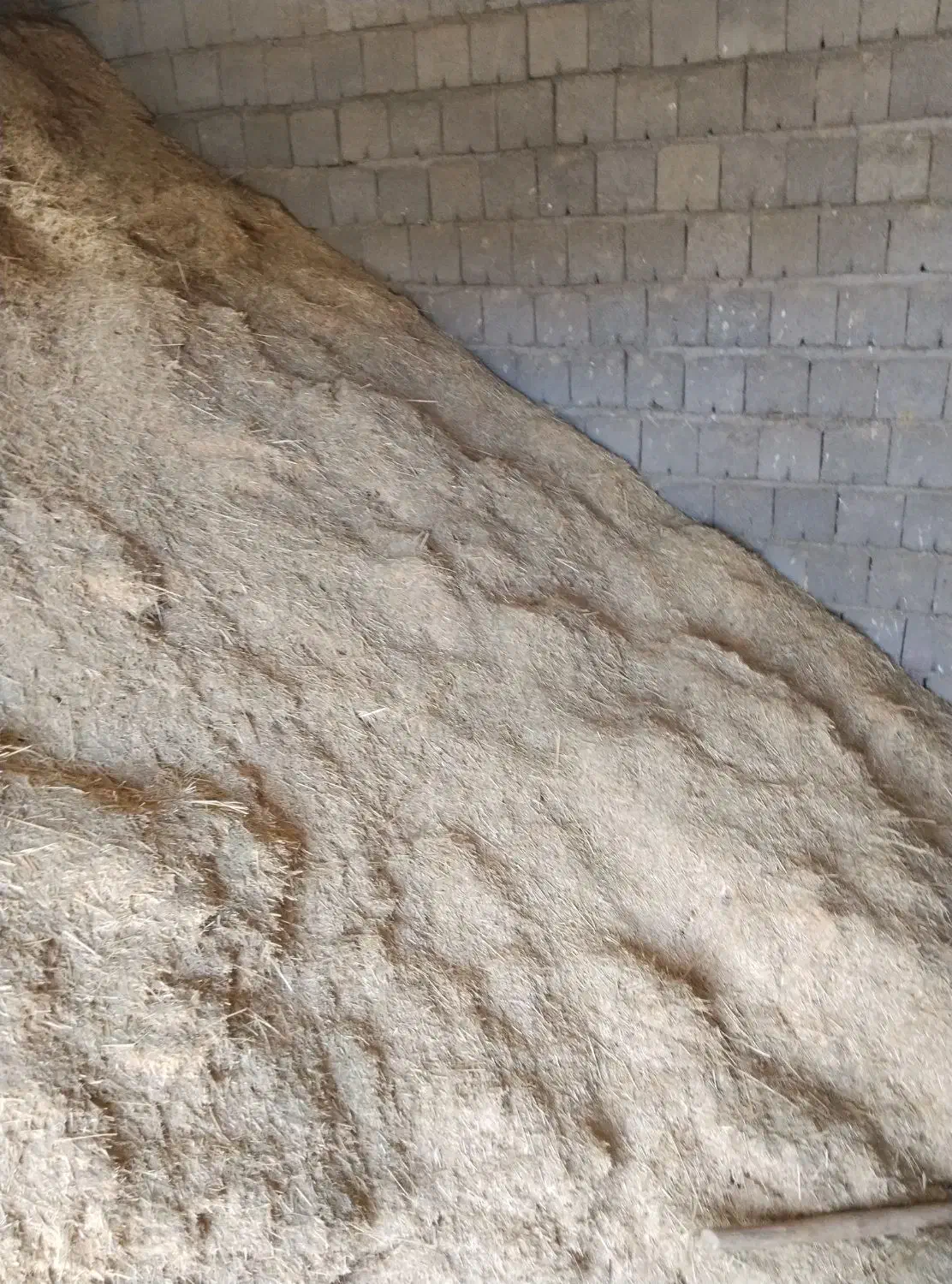 کاه گندم کاه کوب|لوازم جانبی حیوانات|دیواندره, |دیوار