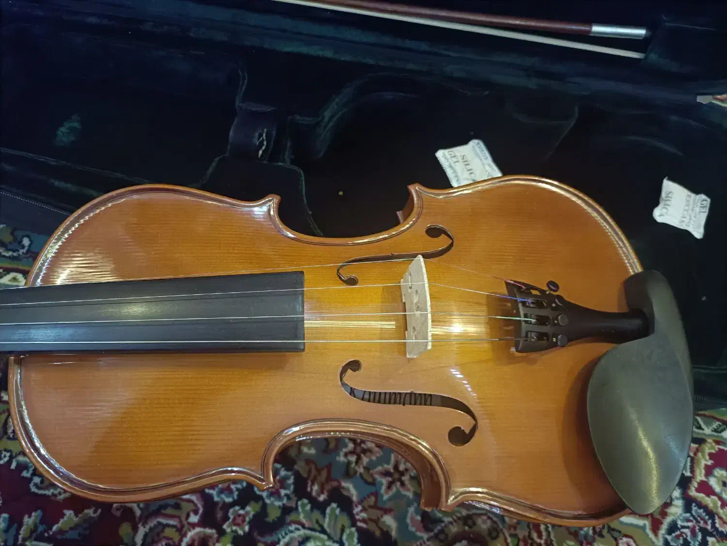 ویولون در حد نو کافمن|ویولن|تهران, دکتر هوشیار|دیوار