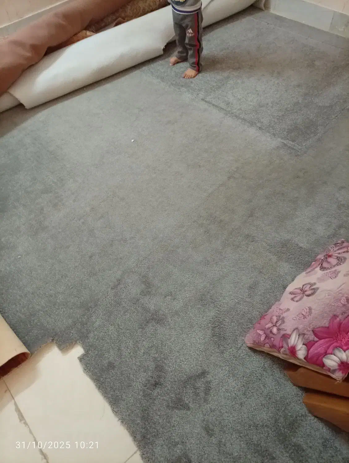 گلیم فرش نه متری و مقداری موکت|موکت|خمینیشهر, |دیوار