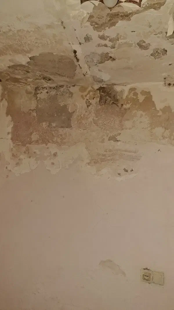 گچکاری|استخدام معماری، عمران و ساختمانی|ملارد, |دیوار