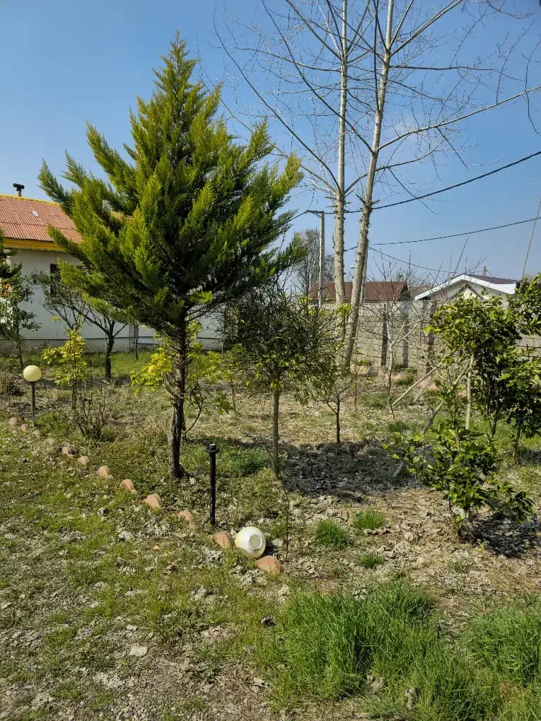 ویلا--- 625 متر زمین 110 متر بنا بر خیابان اصلی|فروش خانه و ویلا|لشت نشا, |دیوار