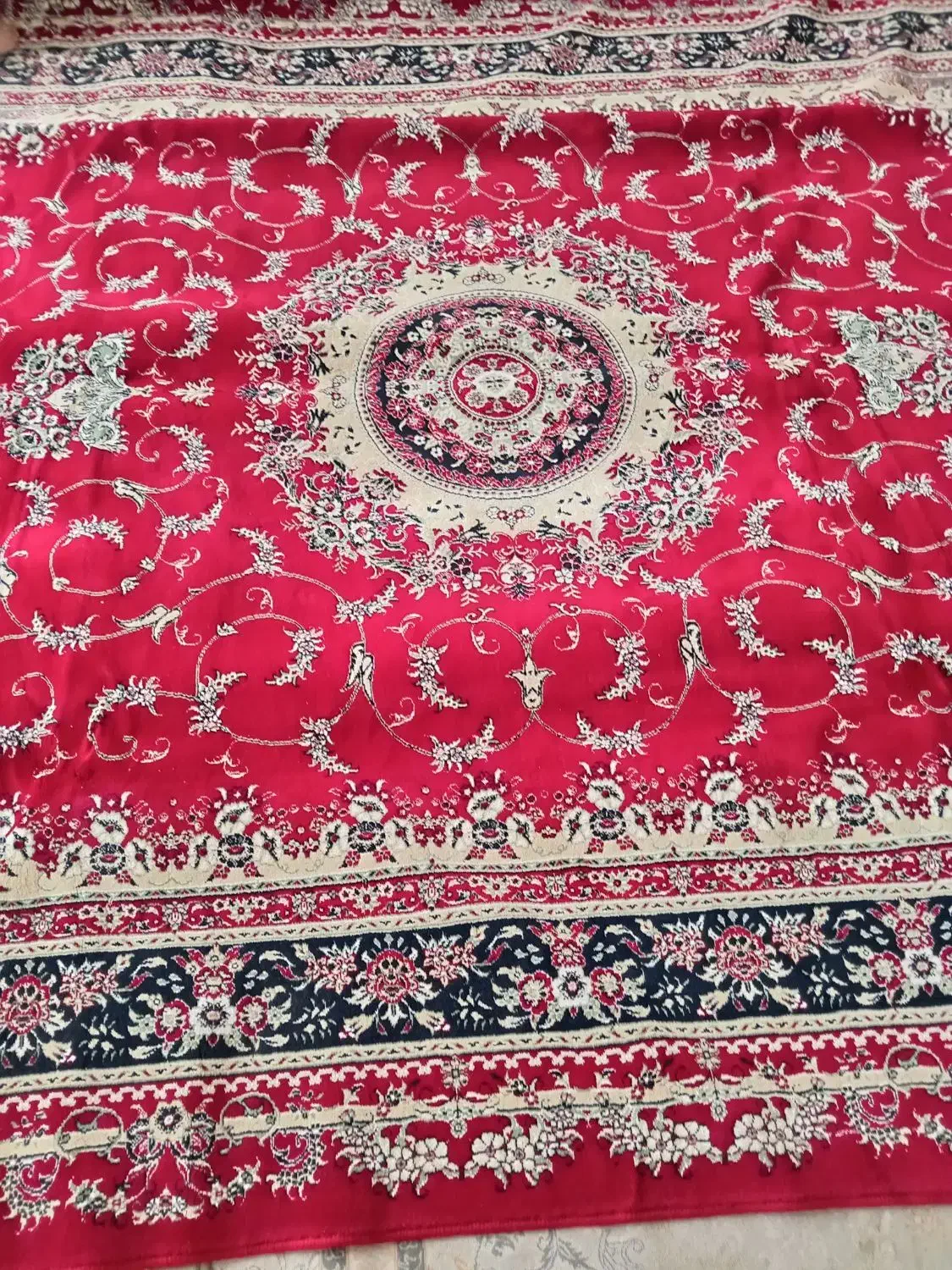 قالی درحدنو بدون زدگی وخوردگی|فرش|نجف‌آباد, گلدشت|دیوار