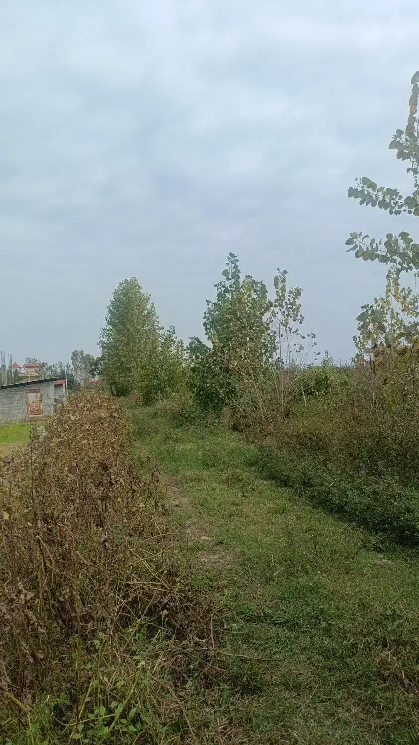 فروش ۲۰۷متر زمین در میانکو محله|فروش زمین و ملک کلنگی|خرم‌آباد (تنکابن), |دیوار