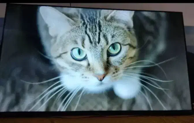 تلویزیون ال ای دی ۵۰اینج مدیا استار اندروید|تلویزیون و پروژکتور|آبادان, |دیوار