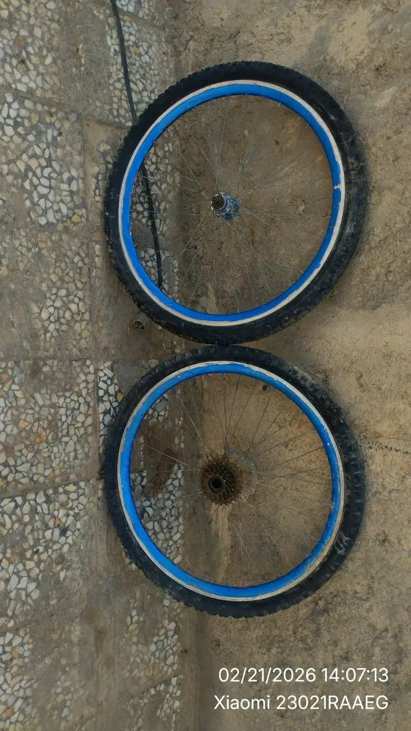 دوچرخه ۲۶|دوچرخه، اسکیت، اسکوتر|نیمروز, |دیوار