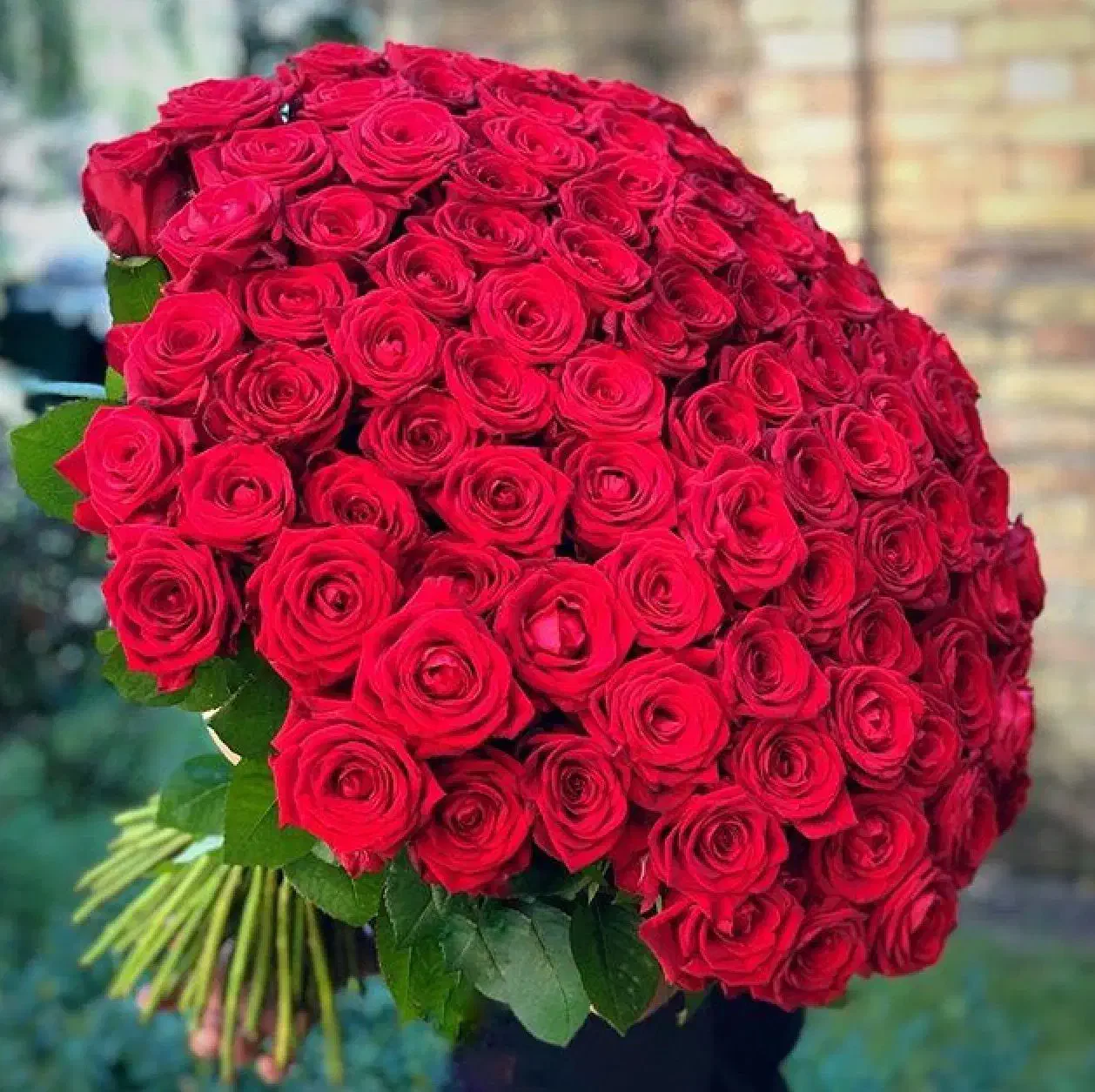 راهنمایی میخام|فعالیت داوطلبانه|نهاوند, |دیوار