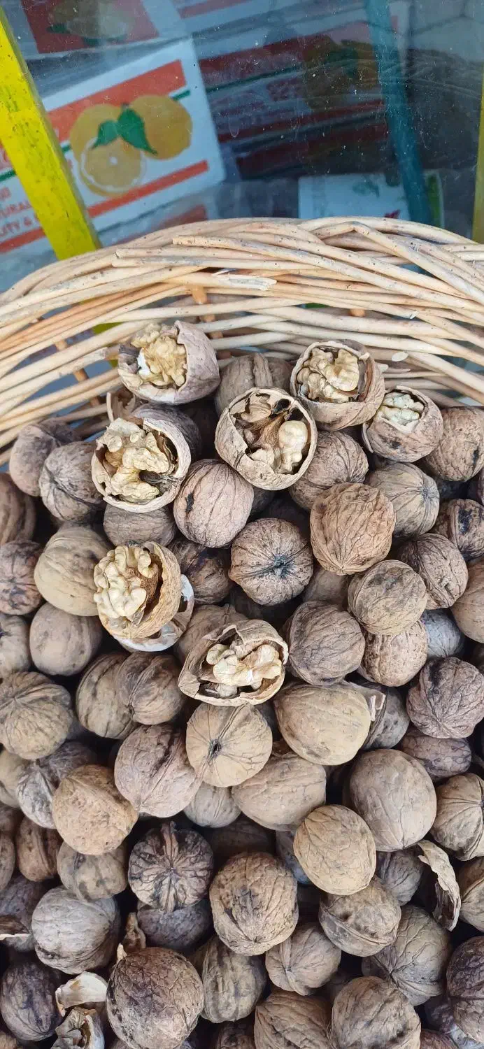 گردو کاغذی مغز پر و سفید|خوردنی و آشامیدنی|سجاس رود, |دیوار