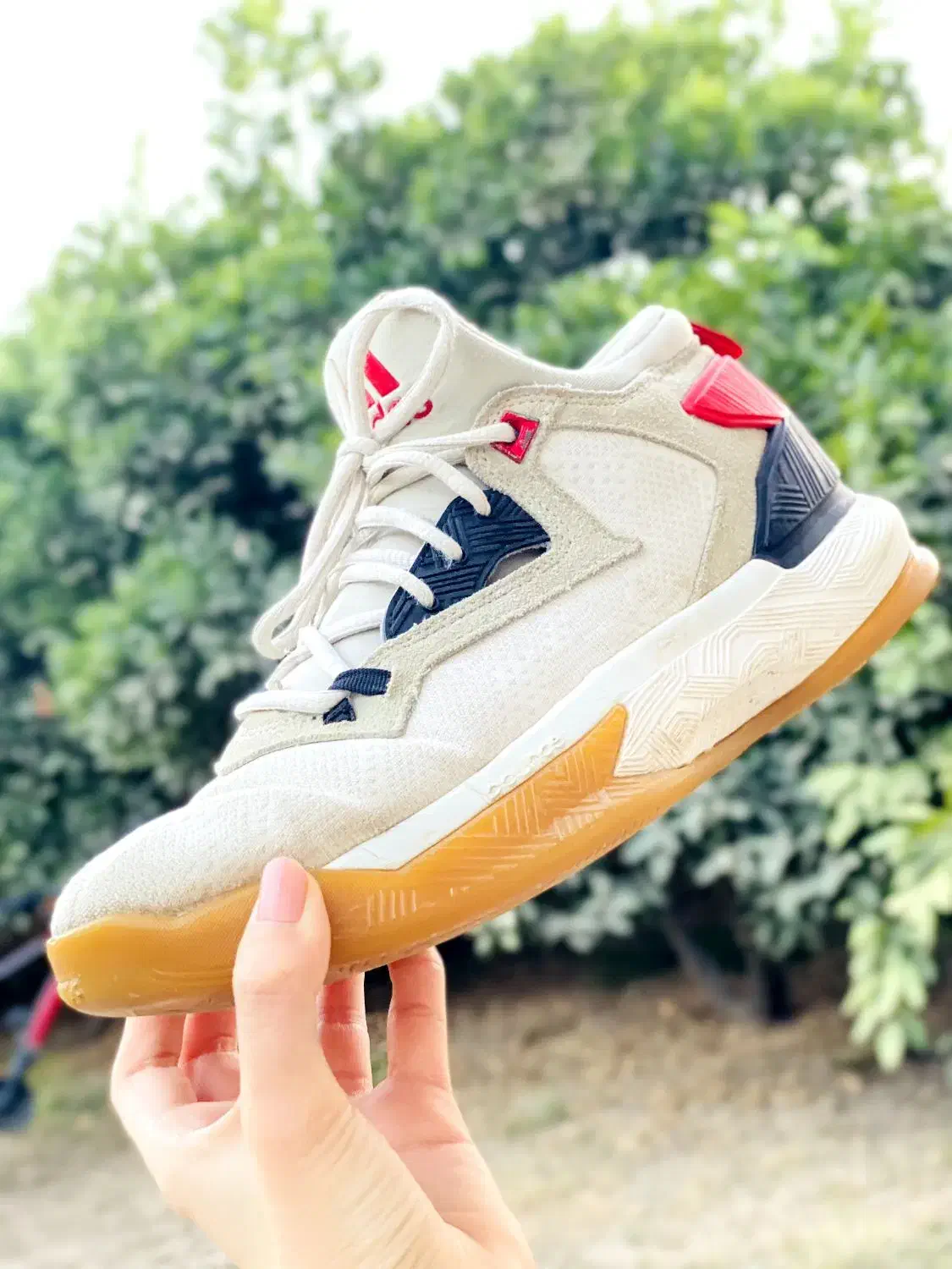 کفش|کیف، کفش، کمربند|مینودشت, |دیوار