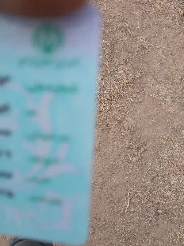 کارت ملی پیدا شده|اشیا|تربتحیدریه, منصوریه|دیوار