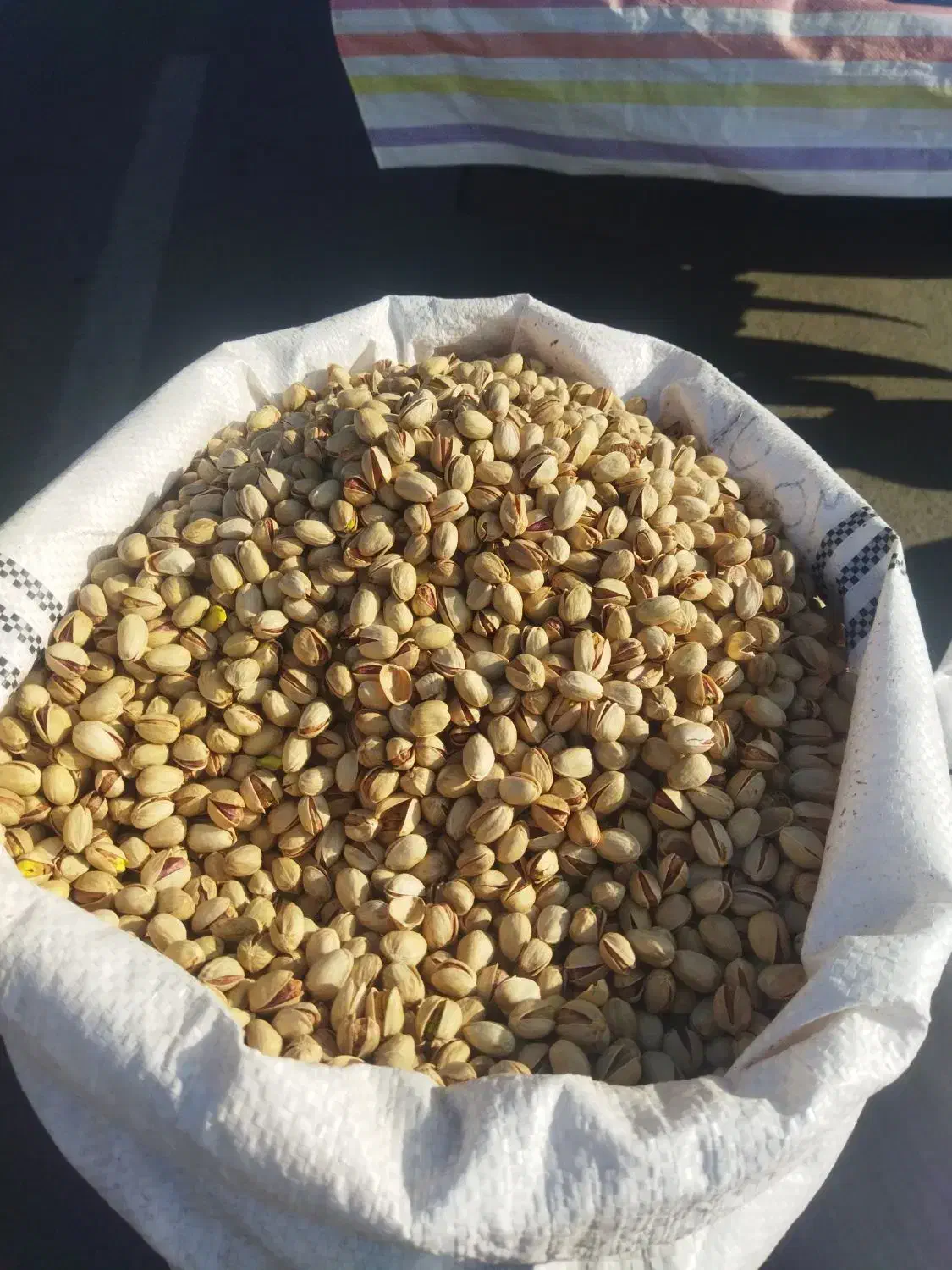 پسته رفنجان|خوردنی و آشامیدنی|سنندج, |دیوار