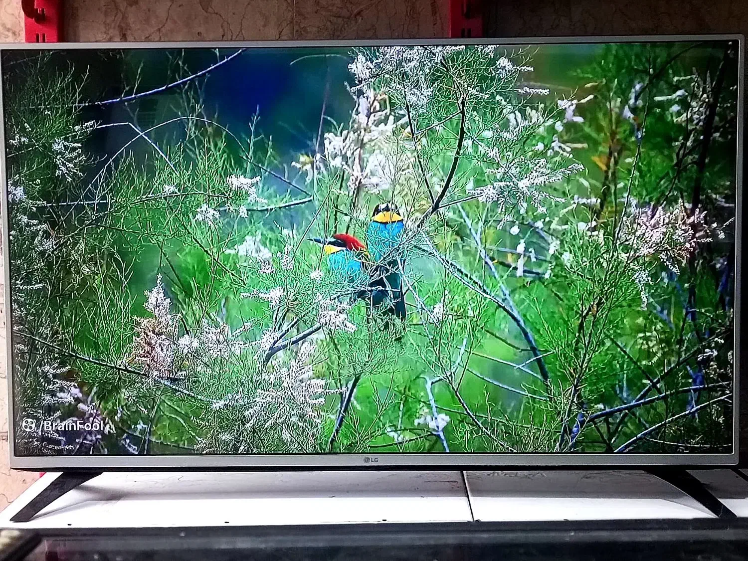 ال ای دی ۴۹،۵۰ اینچ الجی اصل کره ای درحدled lg|تلویزیون و پروژکتور|پاکدشت, حصار امیر|دیوار