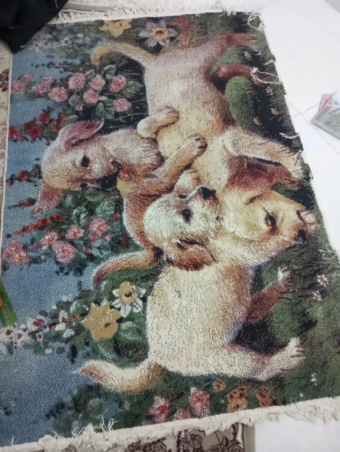 فرش 6متری|فرش|زاهدان, |دیوار