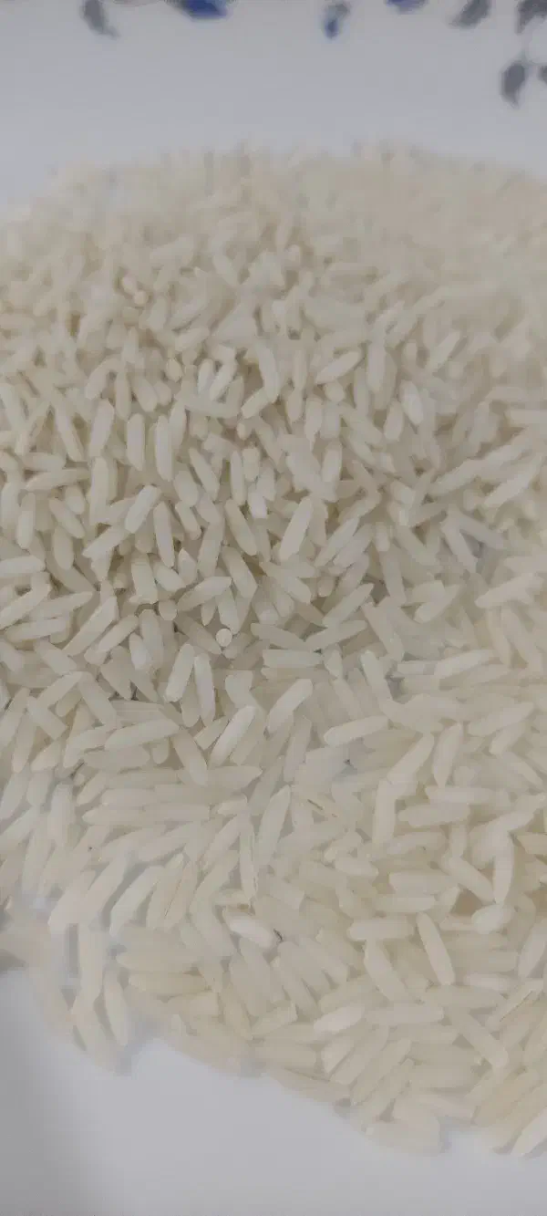 برنج دم سیاه|خوردنی و آشامیدنی|صومعه‌سرا, |دیوار