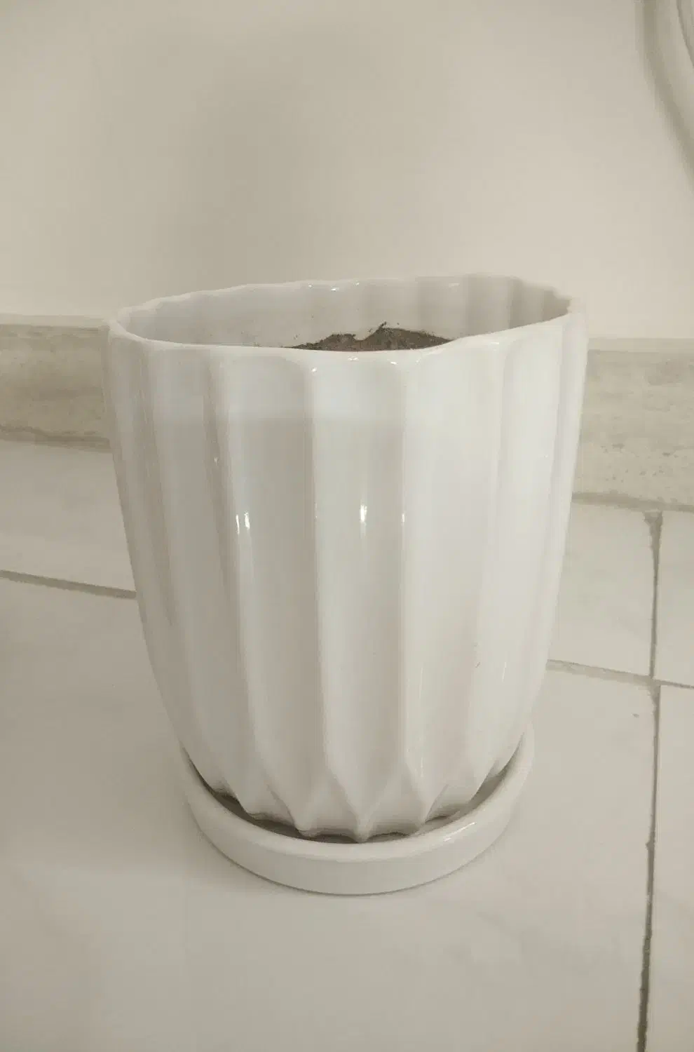 گلدان سفید|گل مصنوعی|مشهد, رضاییه|دیوار