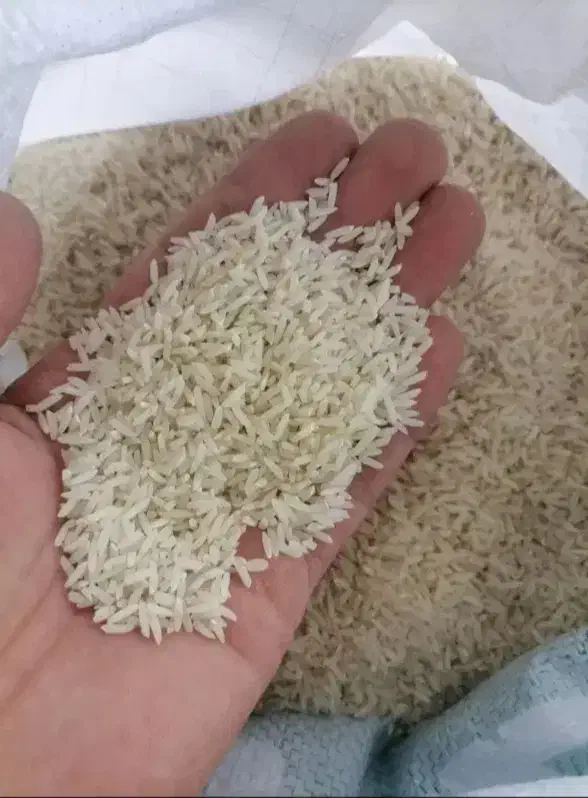 برنج طارم درجه یک|حراج|بجنورد, |دیوار