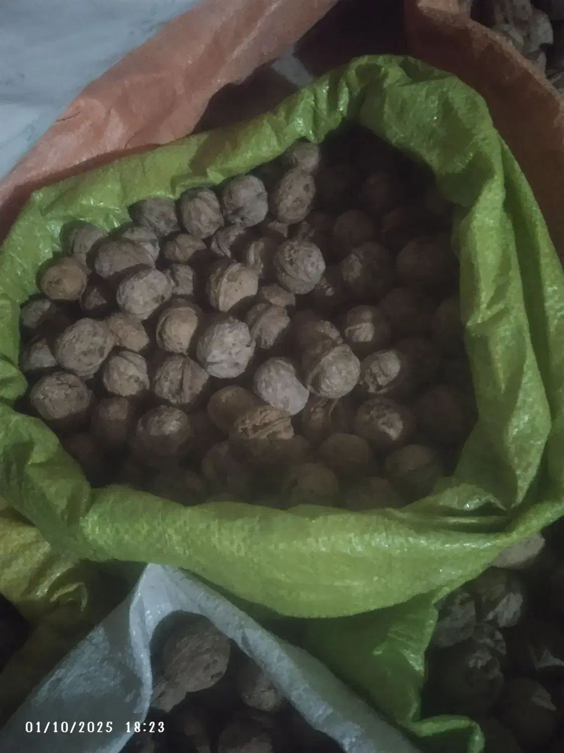 گردو تازه روستای گروه کیلو ۴۰۰هزار|حراج|چناران, |دیوار