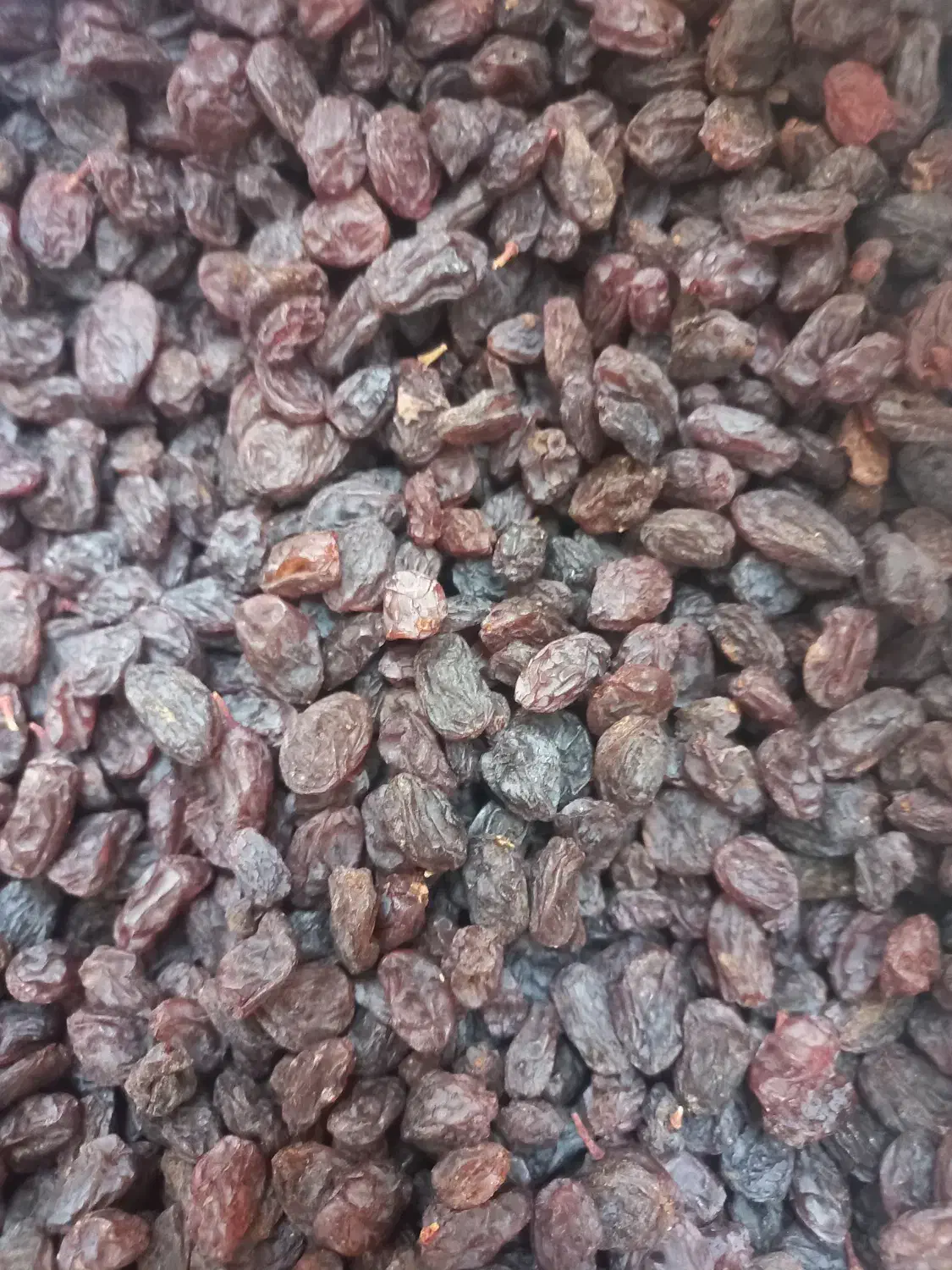 کشمش تاکستان|خوردنی و آشامیدنی|تاکستان, |دیوار