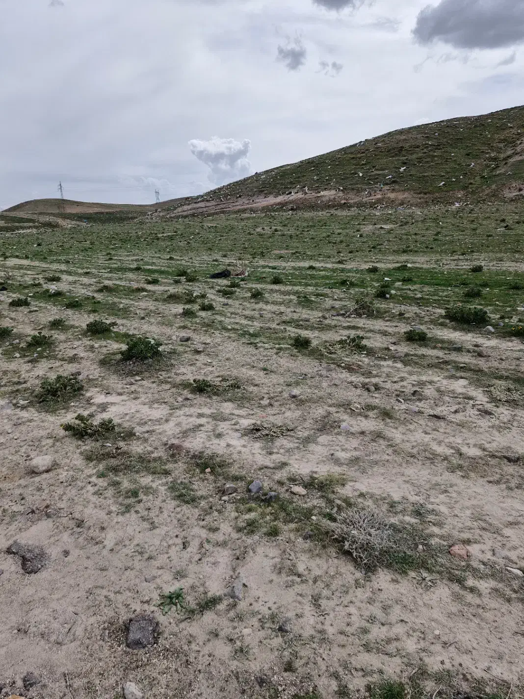 زمین در سعیداباد|فروش دفتر صنعتی، کشاورزی، تجاری|بستان آباد, |دیوار