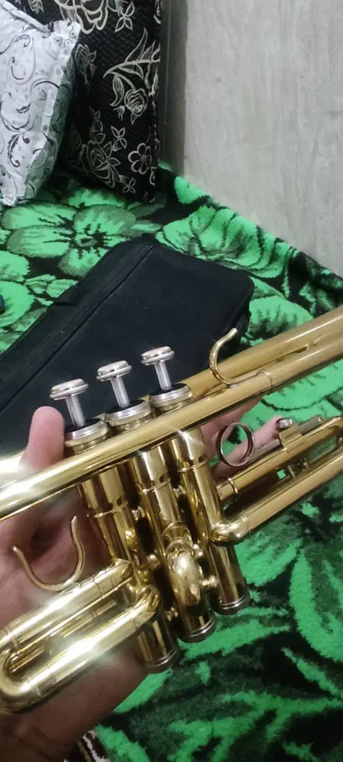 ترومپت|سازهای بادی|سبزوار, باهنر|دیوار