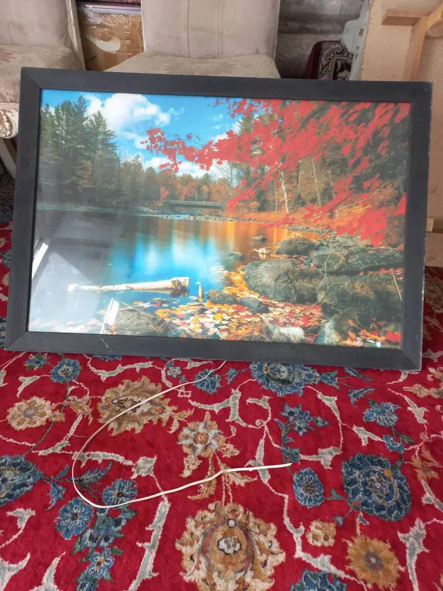 یک عدد تابلو برقی|تابلو، نقاشی، عکس|ری, علایین|دیوار