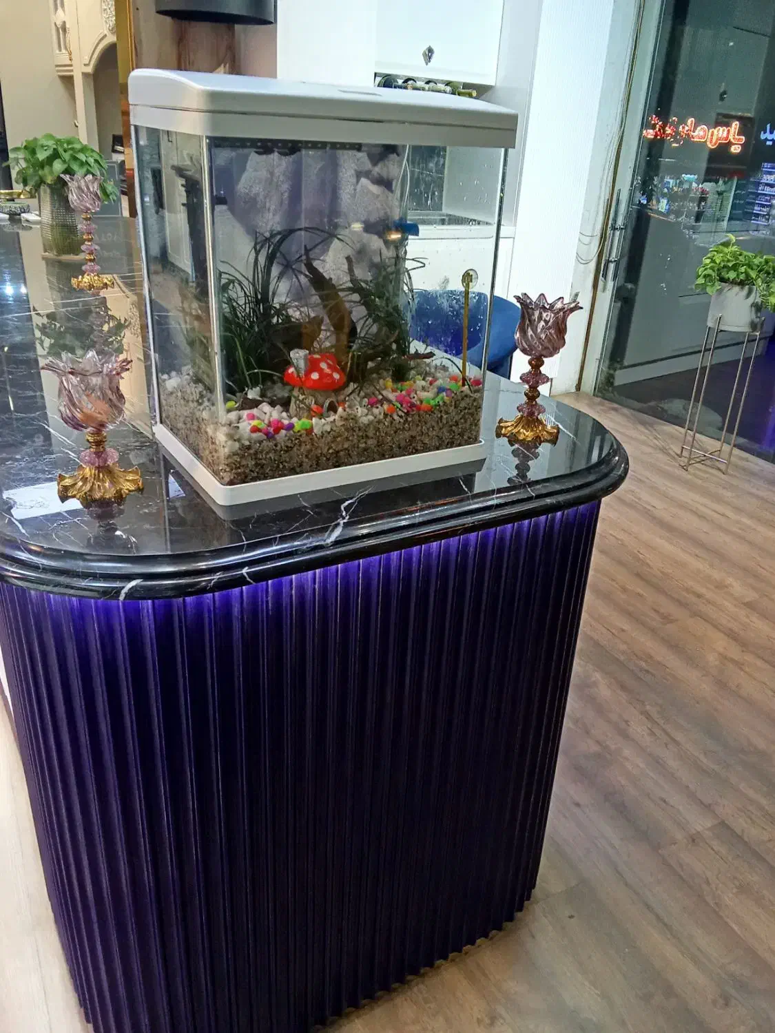 سرویس آکواریم|ماهی|تهران, استقلال|دیوار