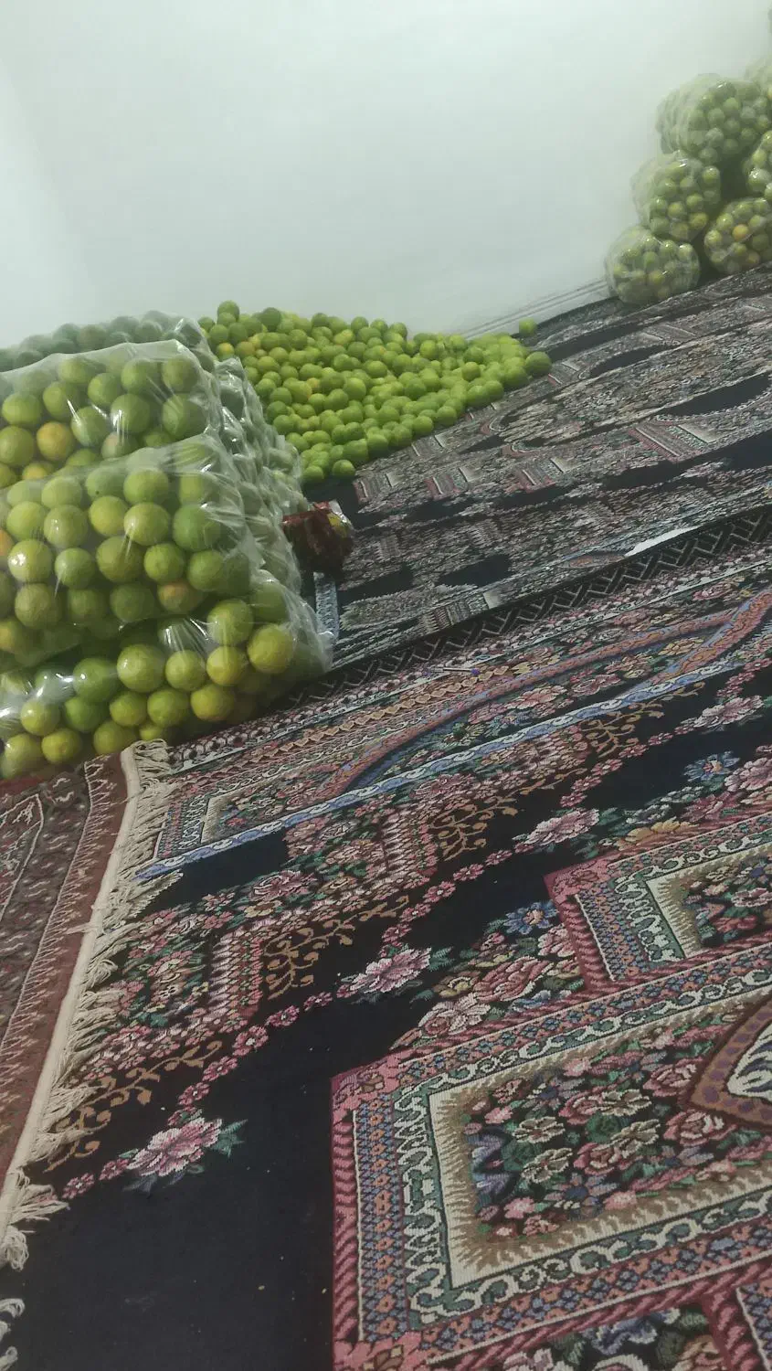 خرید و فروش پرتقال|عمدهفروشی|بم, |دیوار