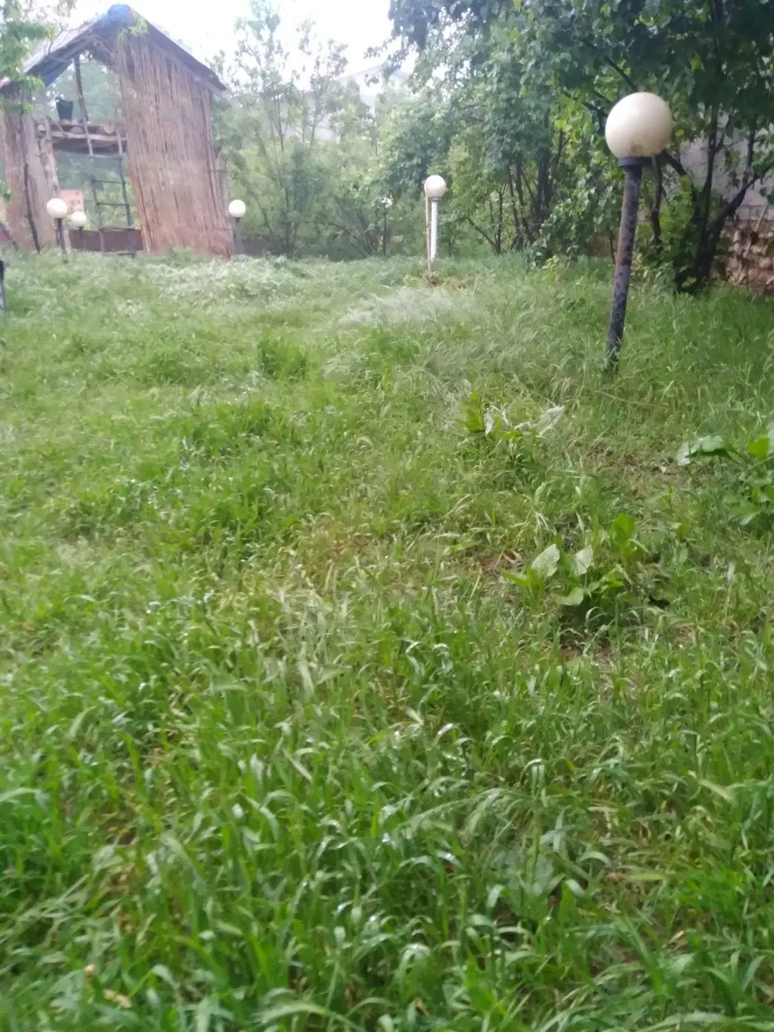 اجاره اقامتگاه سالیانه|اجارهٔ خانه و ویلا|گالیکش, |دیوار