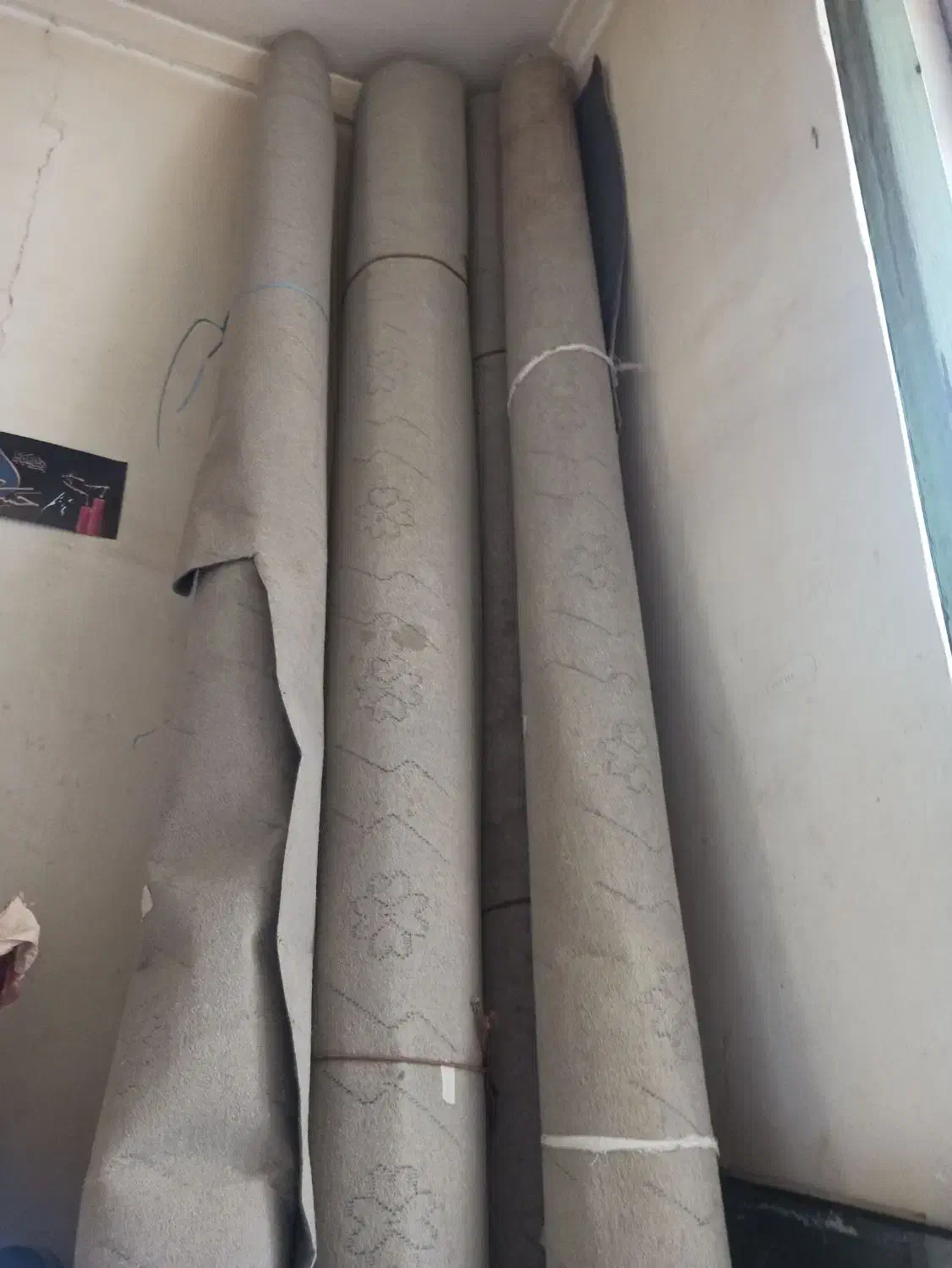 موکت بسیار تمیز|موکت|کرمان, |دیوار