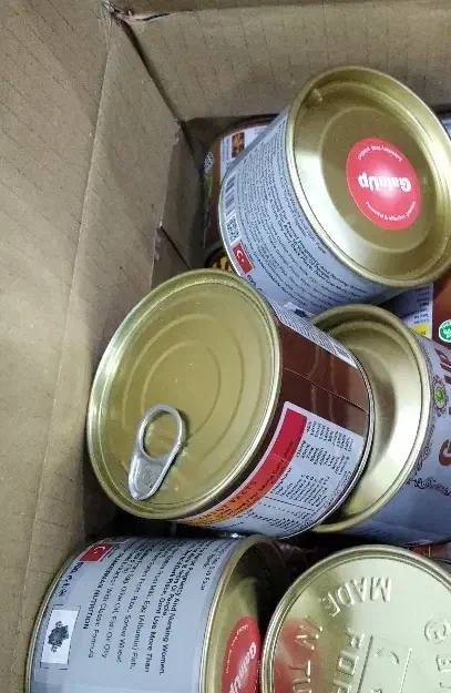 گینویت اصل|حراج|بهبهان, |دیوار