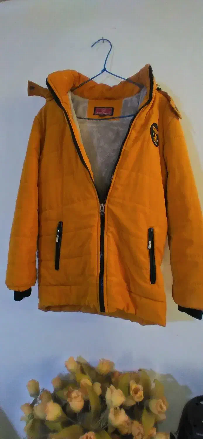 پالتو کاپشن|لباس|پاکدشت, پاکدشت (مامازند)|دیوار