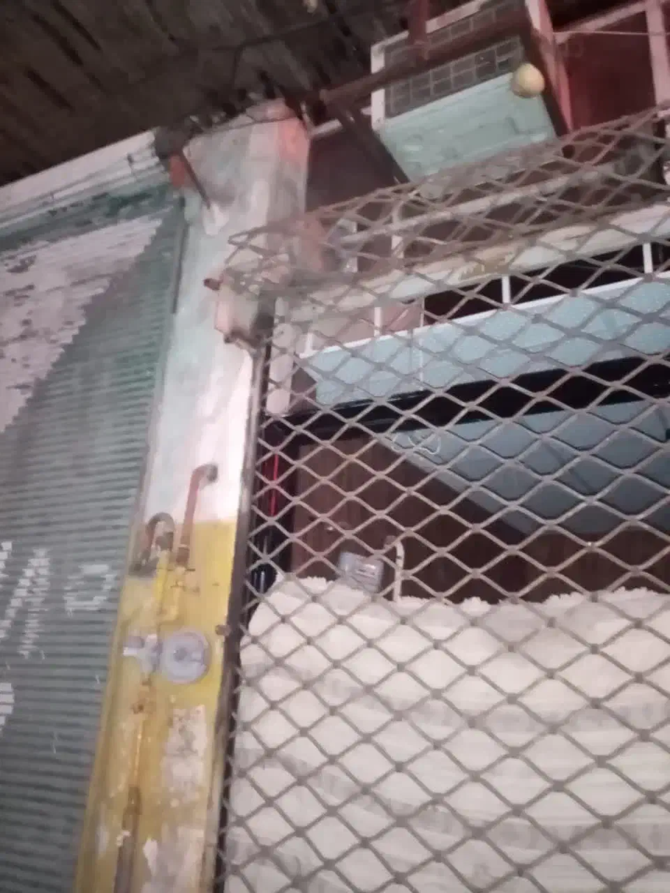 درب شبکه کرکره مغازه و شیشه سکوریت و فایل فلزی|فروشگاه و مغازه|صومعهسرا, |دیوار