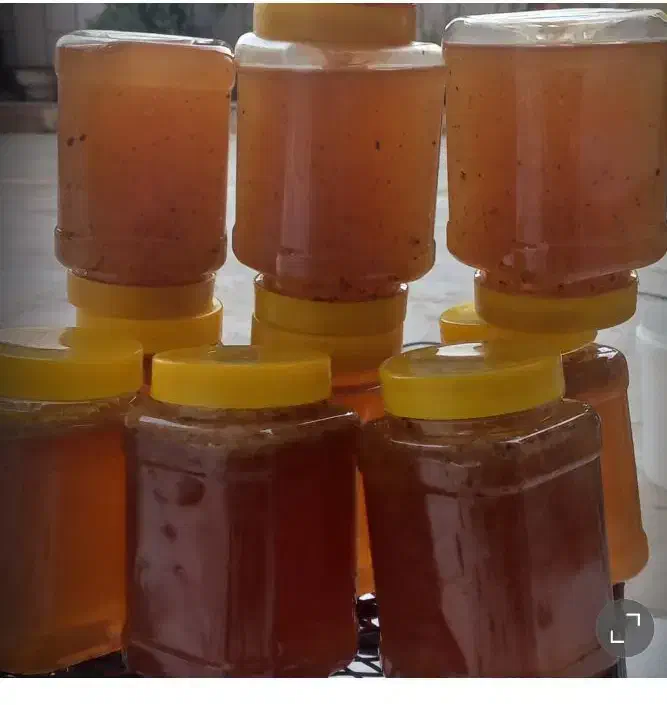 عسل چهل گیاه|خوردنی و آشامیدنی|نجف‌آباد, معرفت|دیوار