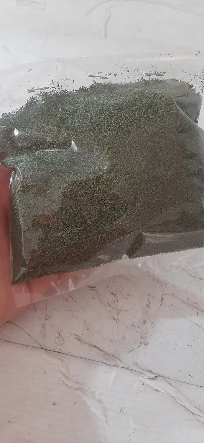 شوید|خوردنی و آشامیدنی|پلدختر, |دیوار