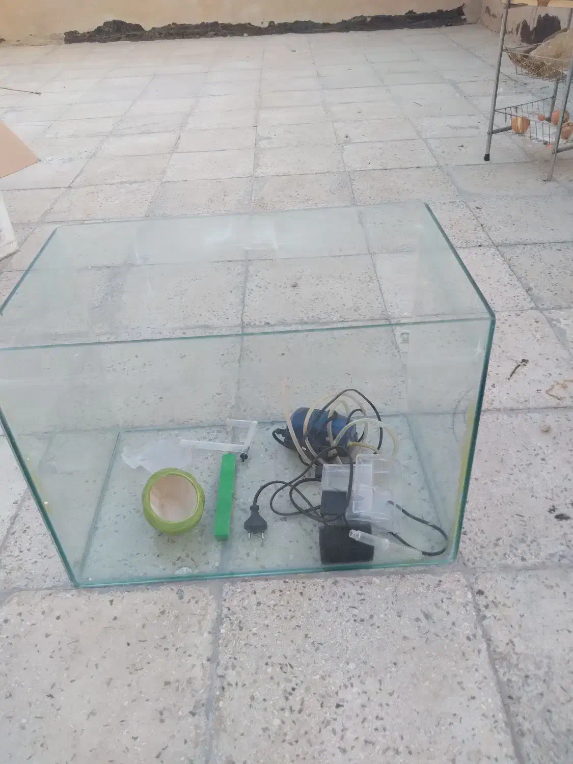 آکواریم|ماهی|کهریزک, |دیوار