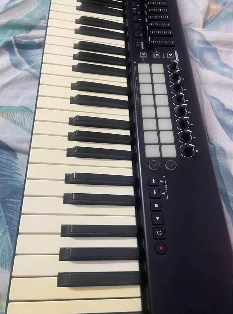 میدی کنترلر novation launchkey mk2 61|پیانو، کیبورد، آکاردئون|فردیس, قریشی|دیوار