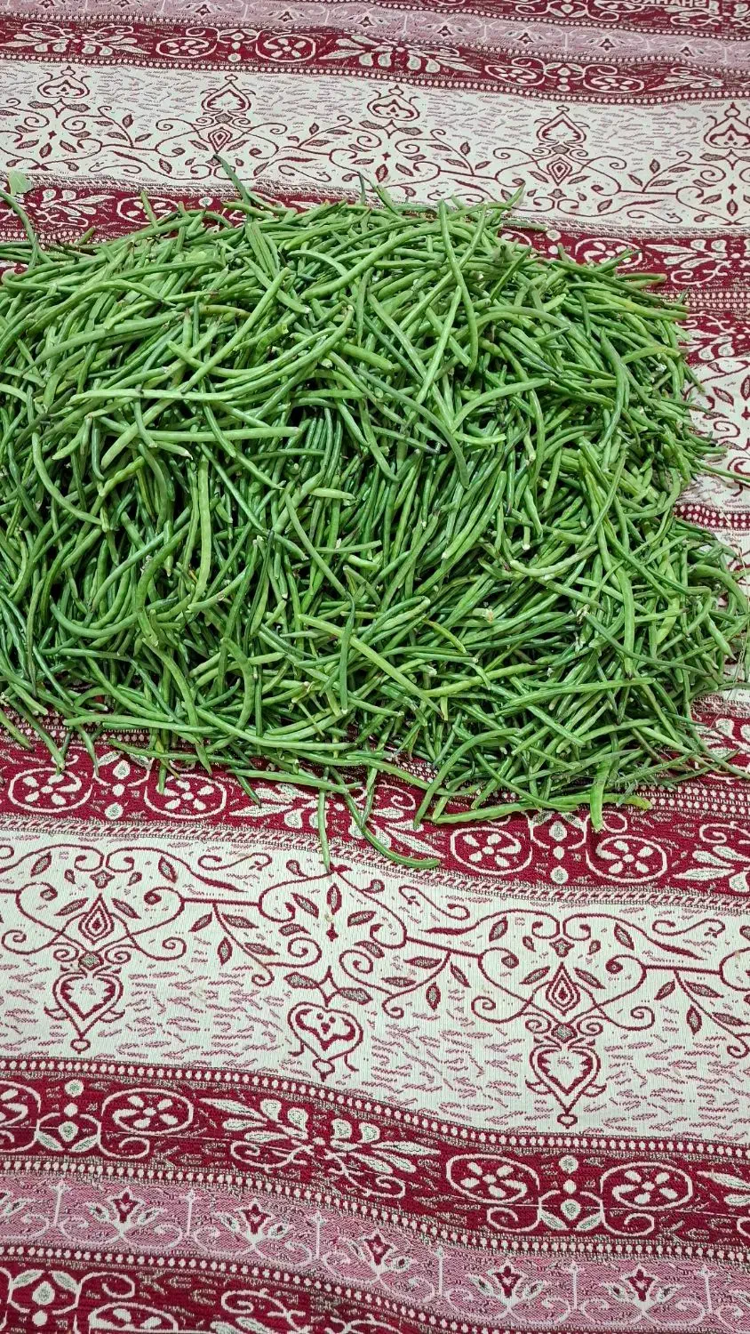 لوبیاقصری یالوبیاچشم بلبلی|خوردنی و آشامیدنی|قصرشیرین, |دیوار