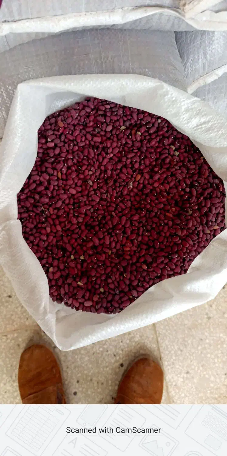 لوبیا قرمز|خوردنی و آشامیدنی|حسن آباد, |دیوار