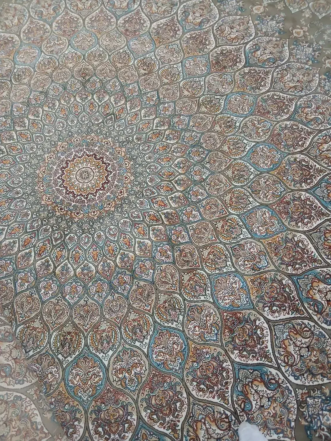 فروش|فرش|بومهن, |دیوار